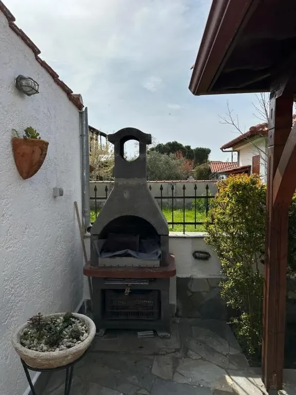 Garden and yard